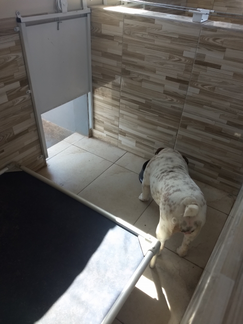  Os adultos dormem em baias individuais ou em duplas, conforme preferencia de cada um. 